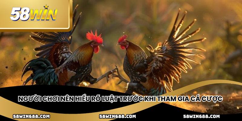 Người chơi nên hiểu rõ luật trước khi tham gia cá cược