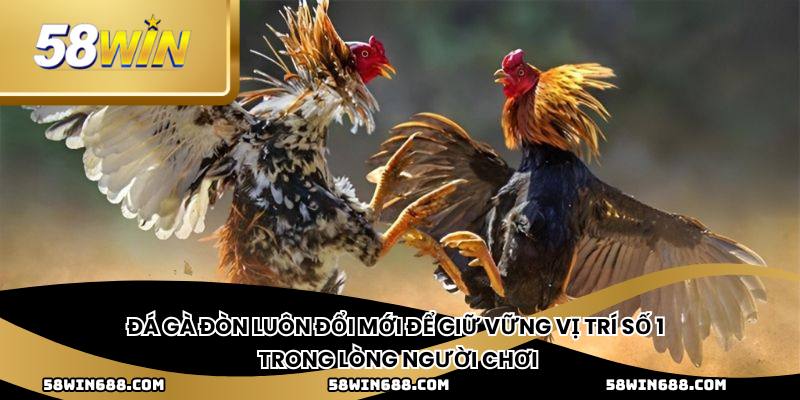 Đá gà đòn luôn đổi mới để giữ vững vị trí số 1 trong lòng người chơi