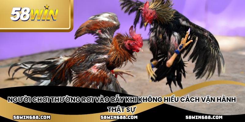 Người chơi thường rơi vào bẫy khi không hiểu cách vận hành thật sự