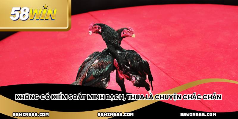 Không có kiểm soát minh bạch, thua là chuyện chắc chắn